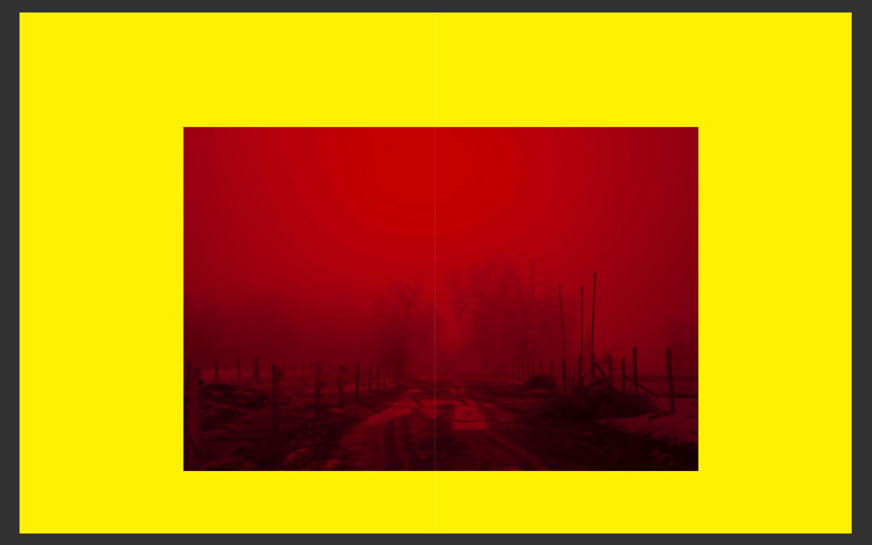 IR AlmaSalvaje
