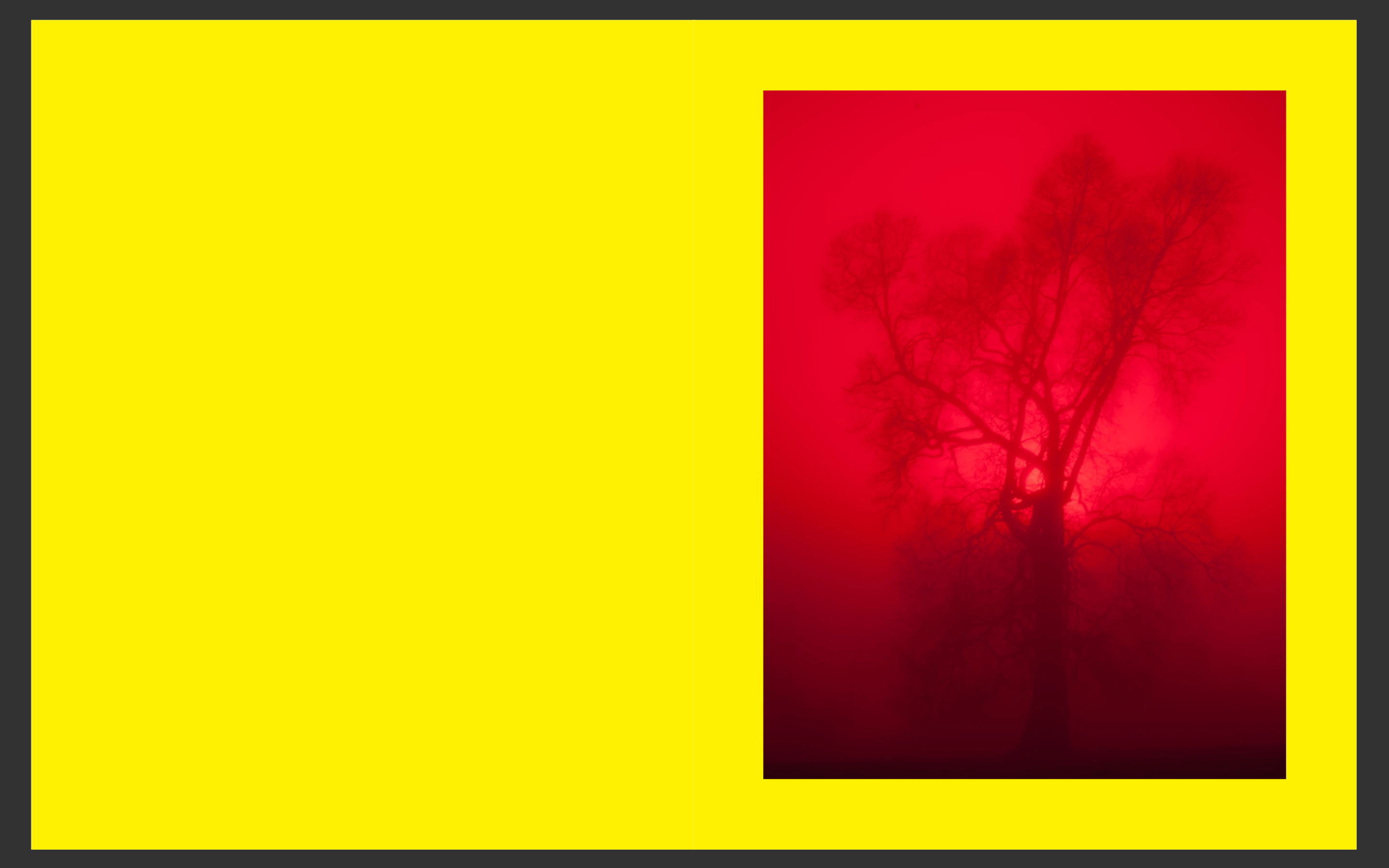 IR AlmaSalvaje